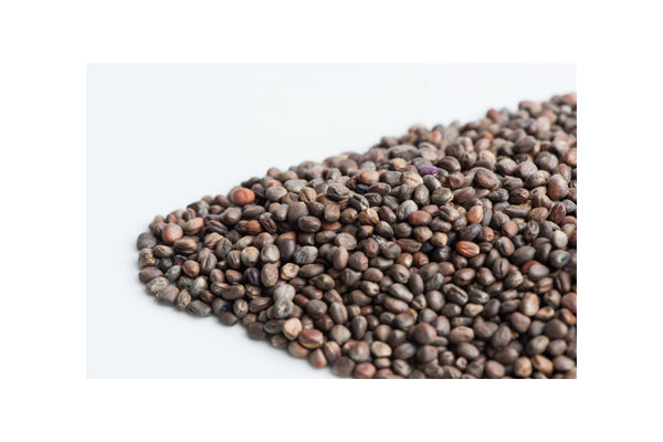 Load image into Gallery viewer, Mumm's Sprouting Seeds - Red Radish (3KG)