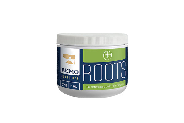 Remo Roots
