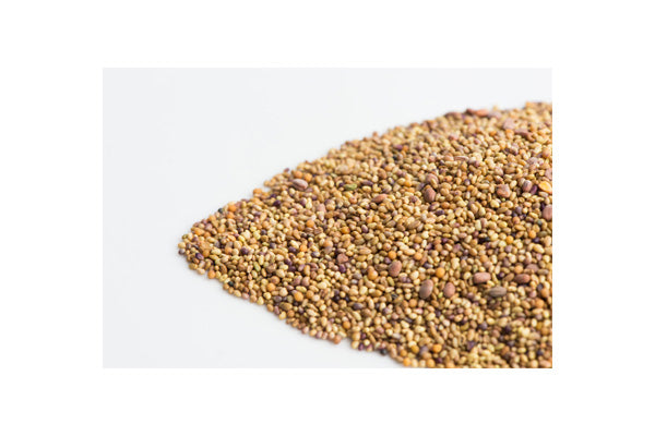 Load image into Gallery viewer, Mumm's Sprouting Seeds - Sandwich Booster (125g)