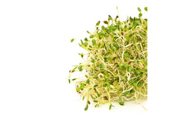 Load image into Gallery viewer, Mumm's Sprouting Seeds - Sandwich Booster (125g)