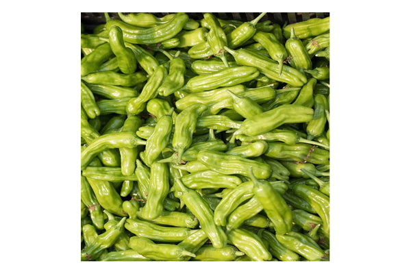 West Coast Seeds - Peppers Shishito