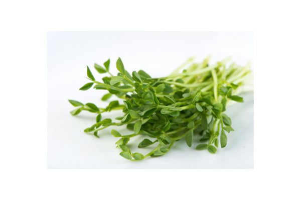 Mumm's Sprouting Seeds - Speckled Peas