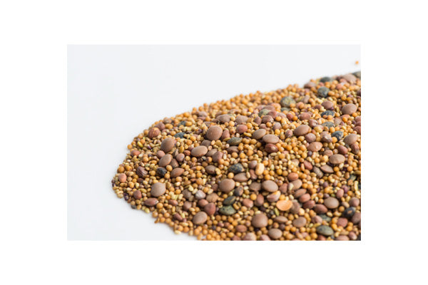 Load image into Gallery viewer, Mumm's Sprouting Seeds - Spicy Lentil Crunch (125g)