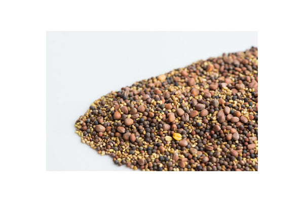 Load image into Gallery viewer, Mumm's Sprouting Seeds - Spring Salad Mix (100g)