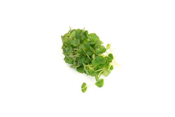 Load image into Gallery viewer, Mumm's Sprouting Seeds - Thai Basil (100g)