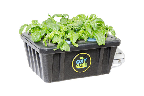 oxyCLONE PRO Series 20 Site Cloning System