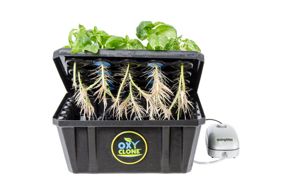 oxyCLONE PRO Series 20 Site Cloning System
