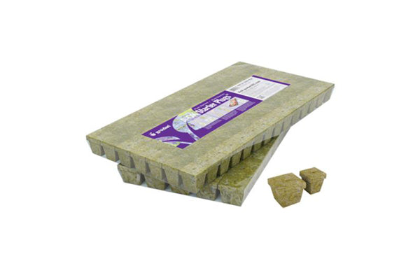 Grodan - Stonewool A-OK Starter Plugs (1.5")