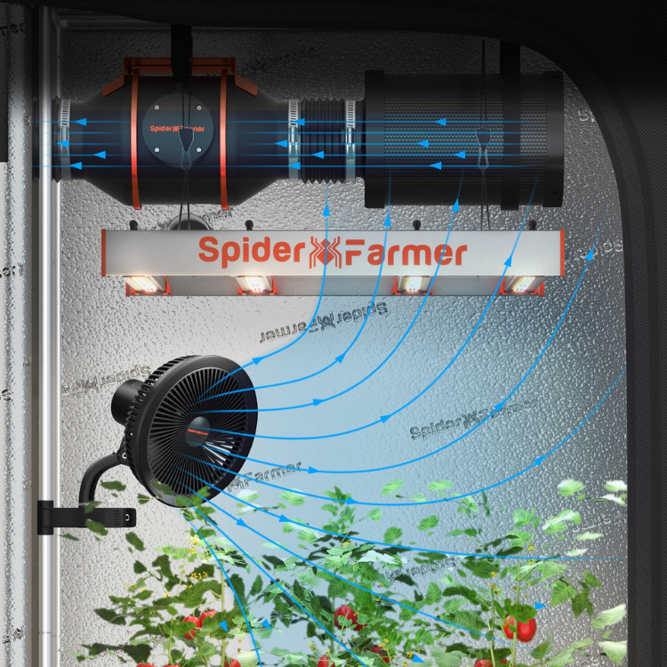 Load image into Gallery viewer, Spider Farmer - SF2000 Samsung LM301H EVO LED Grow Light | 2’X4′ Coverage
