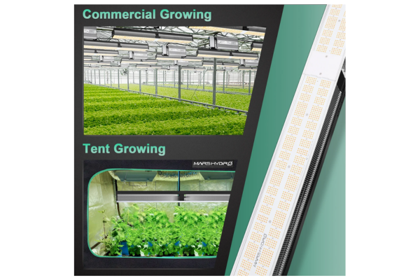 Mars Hydro - SP 6500 LED Grow Light