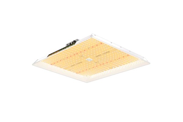 Mars Hydro - TSW 2000 LED Grow Light