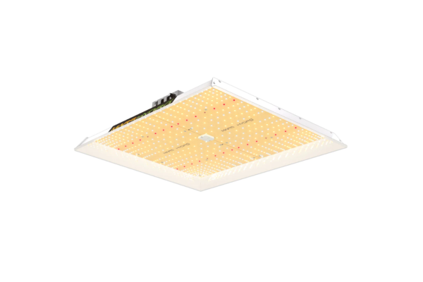 Mars Hydro - TSW2000 Full Spectrum Dimmable (300W) LED Grow Light - 4x4 Coverage