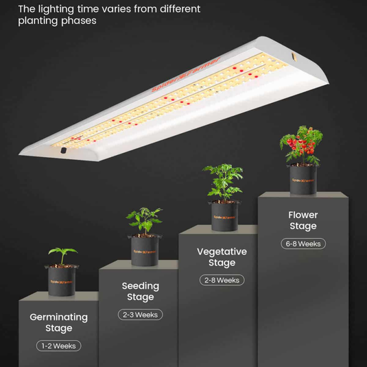 Spider Farmer - SF300 LED Grow Light – Full Spectrum 33W for Seedlings & Greens