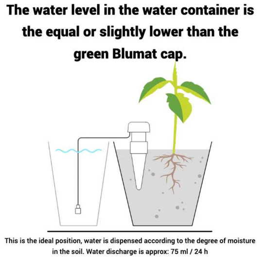 Blumat Classic – (3 Pack) Automatic Watering System for Indoor & Balcony Plants
