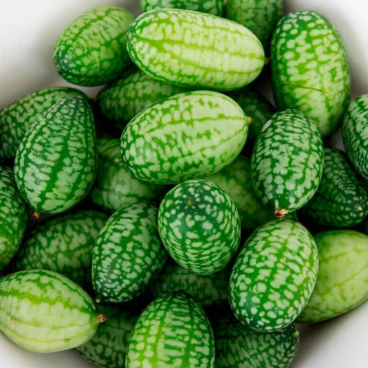 West Coast Seeds - Cucamelon - Mini Watermelon Lookalike with Citrus Notes