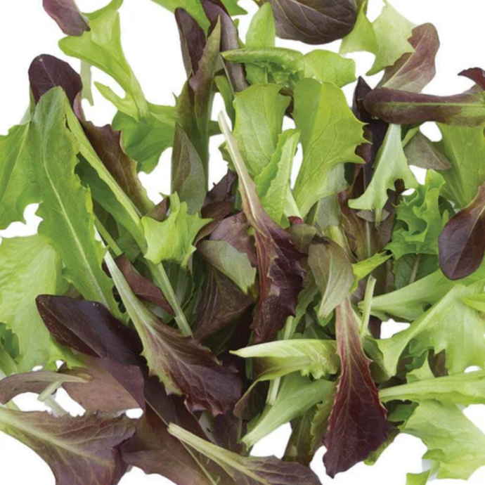 West Coast Seeds - Fast & Furious Blend Lettuce - Certified Organic, Rapid Growth (500 Seeds)