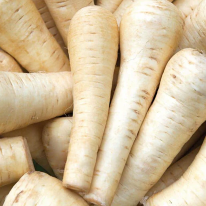 West Coast Seeds - Gladiator Parsnips - Sweet, Nutty & Canker-Resistant