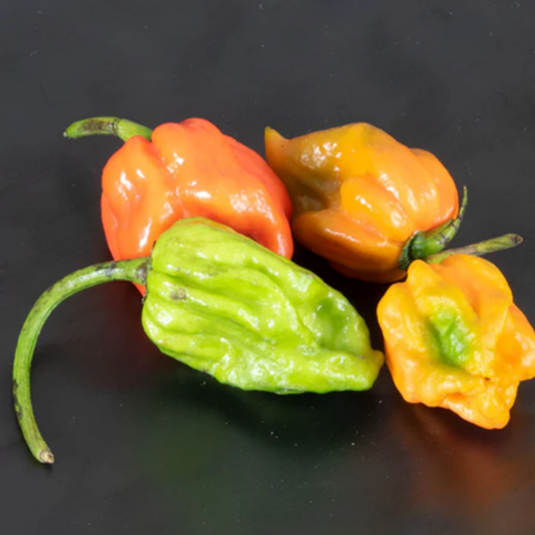 Trinidad Moruga Scorpion Pepper Seeds – 10 Seeds, Very Hot, Easy To Grow