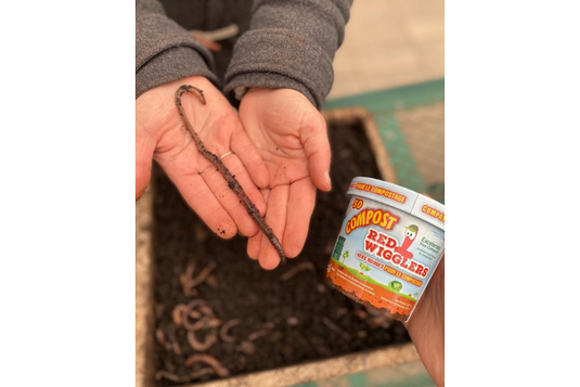 Pure Life Soil - Red Wigglers Cup (50 Worms) - Accelerate Composting & Create Worm Castings