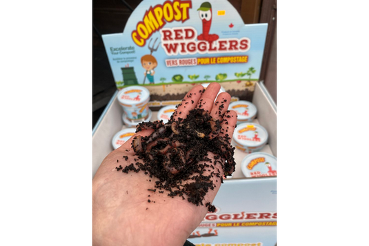 Pure Life Soil - Red Wigglers Cup (50 Worms) - Accelerate Composting & Create Worm Castings