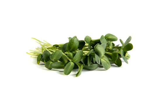 Mumm's Sprouting Seeds - Black Oil Sunflower (75g)