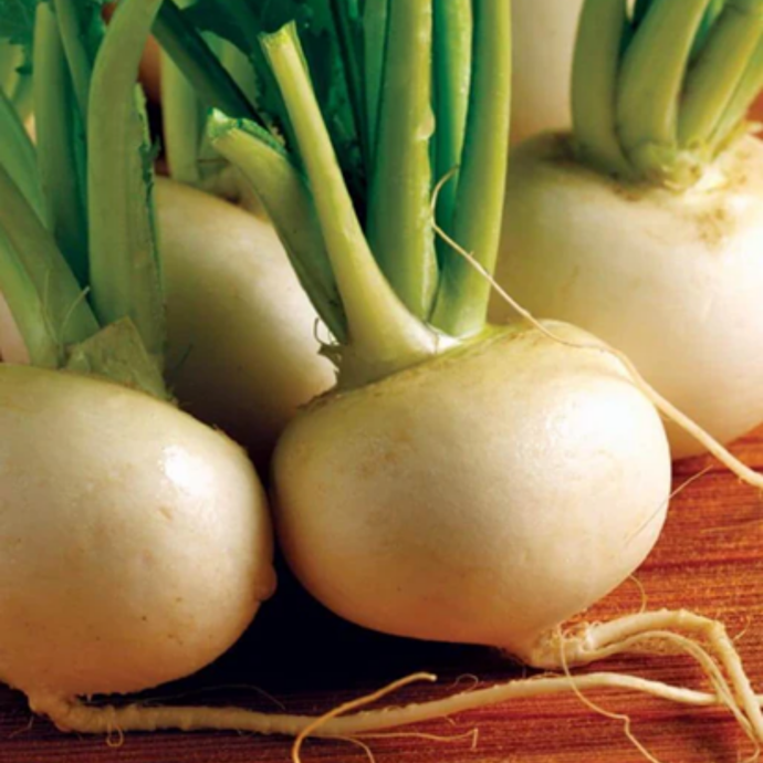 West Coast Seeds - Hakurei Turnip - Fast-Growing, Sweet & Crisp Japanese Turnips