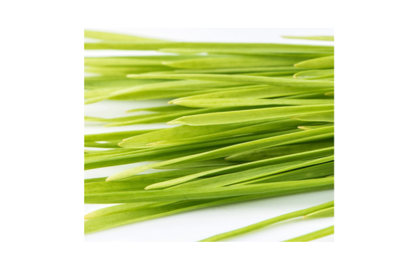 Mumm's Sprouting Seeds - Wheat, Hard Red Spring (125g)