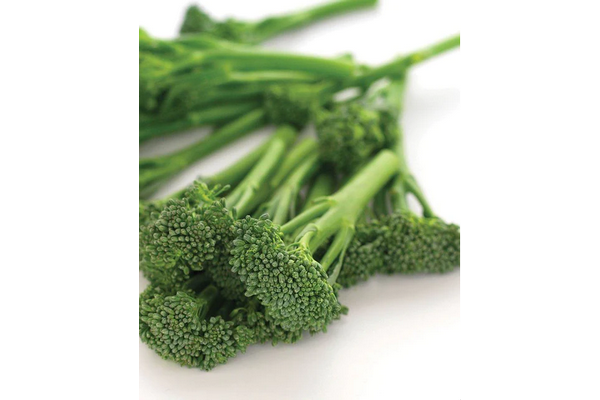 West Coast Seeds - Broccoli Aspabroc F1 Brocollini (0.10g)