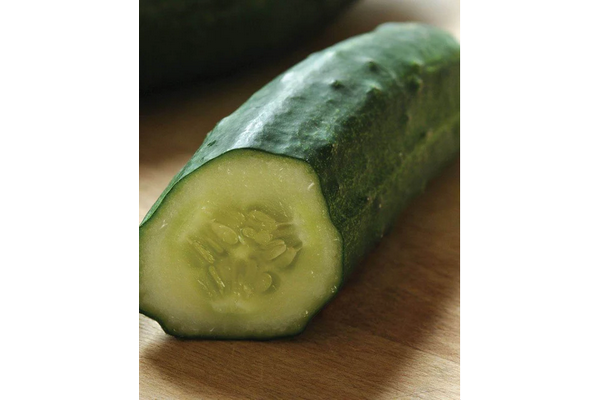 West Coast Seeds - Cucumbers Patio Snacker (10 Seeds)