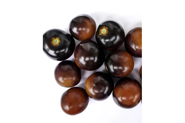 West Coast Seeds - Tomatoes - Indigo Rose Certified Organic (20 Seeds)