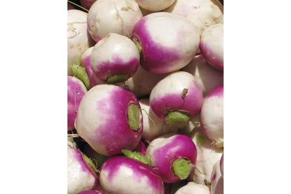West Coast Seeds - Turnips- Purple Top White Globe (1g)