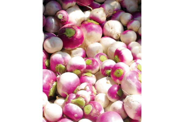 West Coast Seeds - Turnips- Purple Top White Globe (1g)