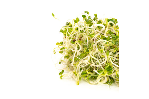 Mumm's Sprouting Seeds - Broccoli Brassica Blend (100g)