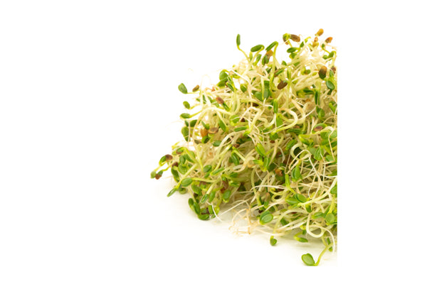 Mumm's Sprouting Seeds - Red Clover (125g)