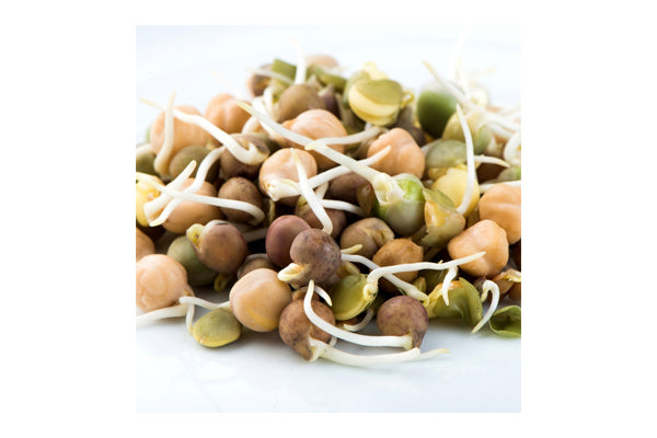 Mumm's Sprouting Seeds - Crunchy Bean Mix (125g)