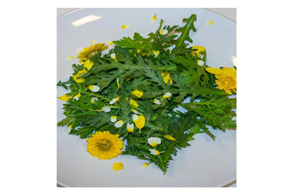 West Coast Seeds - Wild Greens Frilly Edible Chrysanthemum (1g)
