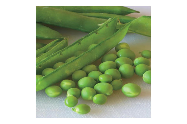 West Coast Seeds - Peas Green Arrow (25g)