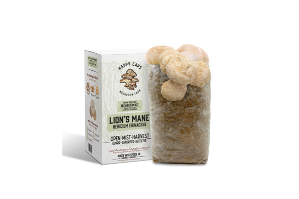 Happy Caps - Grow Your Own Mushroom Kit (Lion's Mane)
