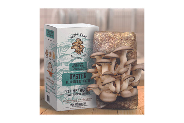 Happy Caps - Grow Your Own Mushroom Kit (Oyster)
