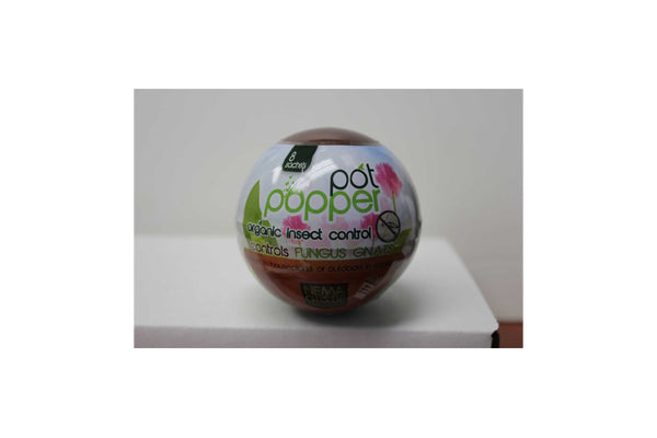 Pot Popper Globe (8 Sachets) – Plantwell