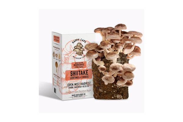 Happy Caps - Grow Your Own Mushroom Kit (Shitake)