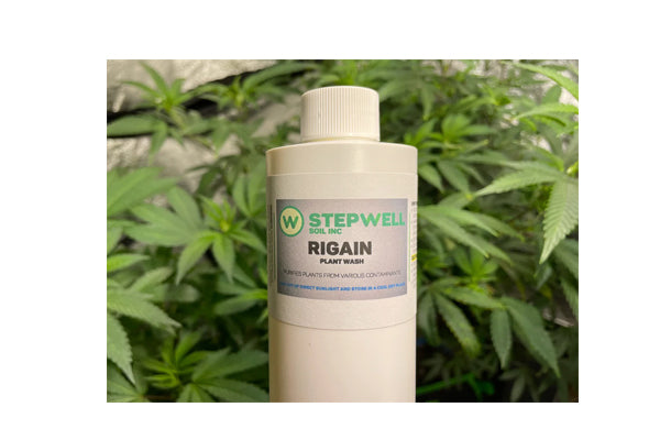 Stepwell - Rigain Plant Wash (2oz)
