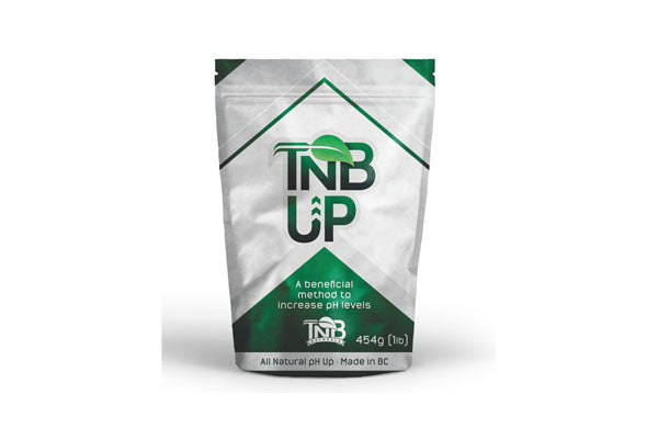 TNB Naturals pH Up Powder - 454g