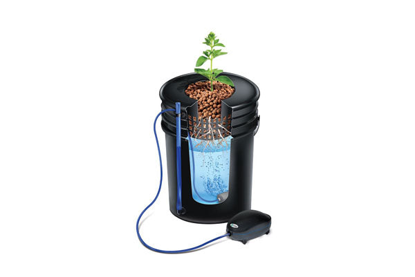 Alfred - DWC 4-Plant System - Advanced Deep Water Culture Hydroponic Kit