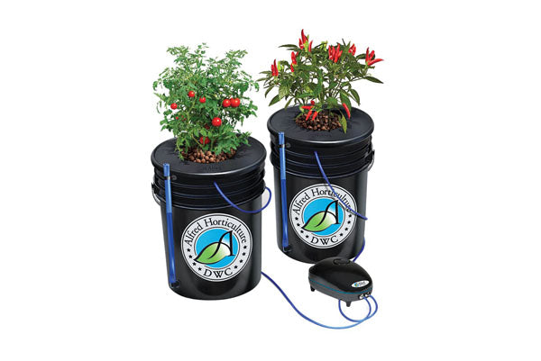 Alfred DWC 2-Plant System